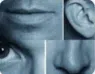 Cercles de vision